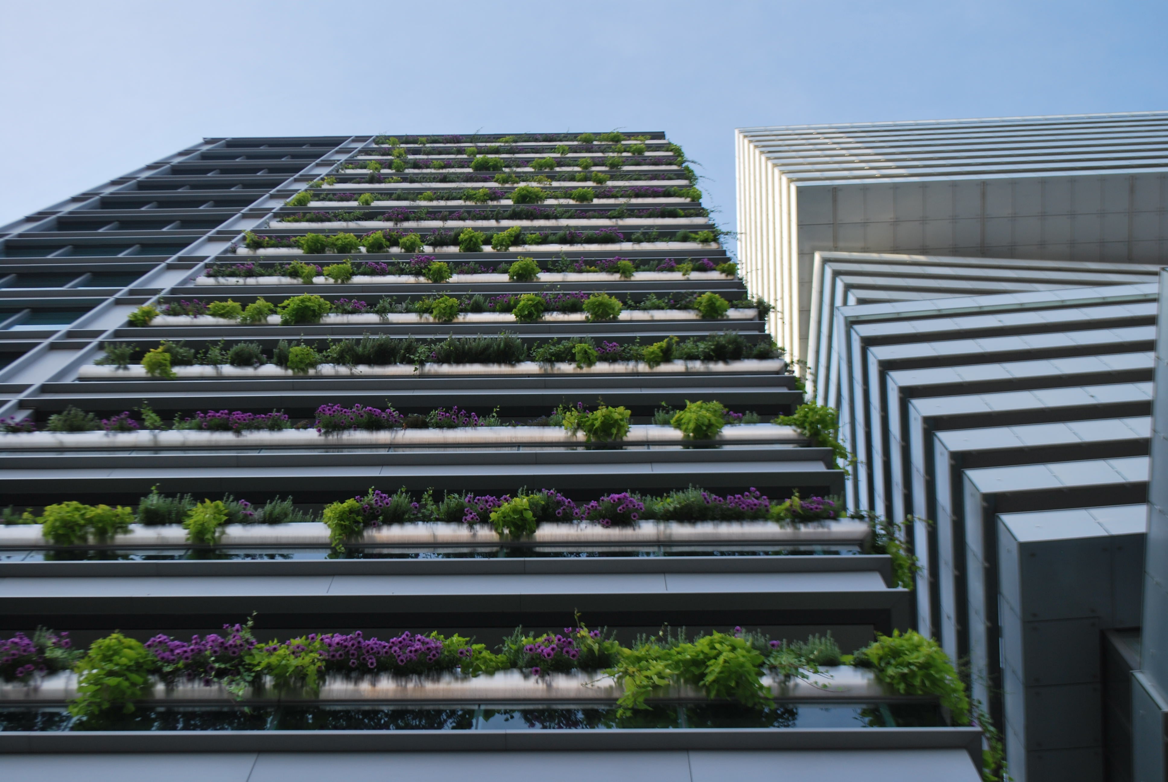 GBI Explained: Sustainable Architecture